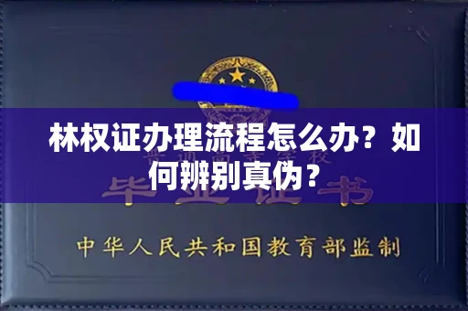 全国林权证办理流程怎么办?如何辨别真伪?