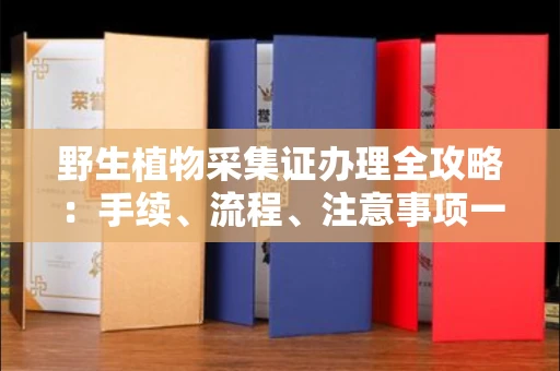 全国野生植物采集证办理全攻略:手续、流程、注意事项一网打尽